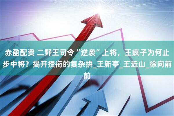 赤盈配资 二野王司令“逆袭”上将，王疯子为何止步中将？揭开授衔的复杂拼_王新亭_王近山_徐向前