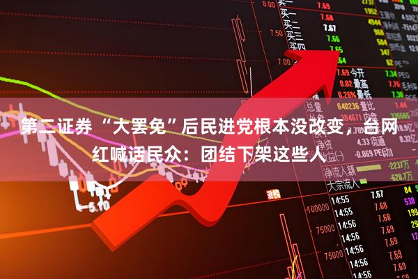 第二证券 “大罢免”后民进党根本没改变，台网红喊话民众：团结下架这些人