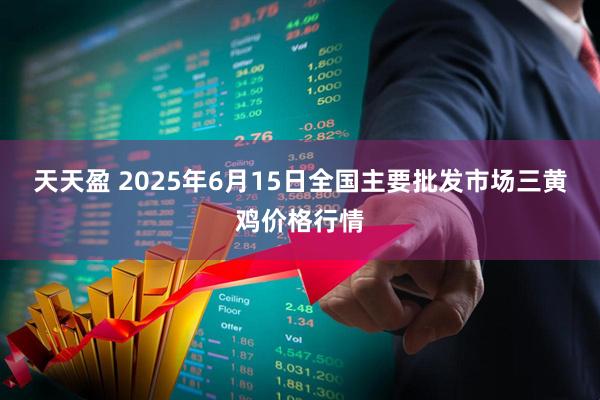 天天盈 2025年6月15日全国主要批发市场三黄鸡价格行情