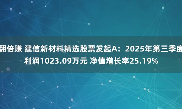 翻倍赚 建信新材料精选股票发起A：2025年第三季度利润1023.09万元 净值增长率25.19%