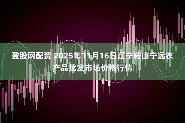 盈股网配资 2025年11月16日辽宁鞍山宁远农产品批发市场价格行情