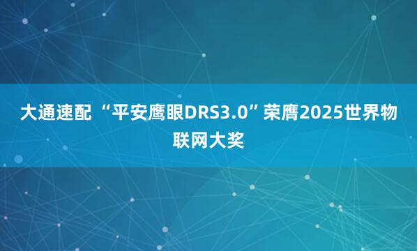 大通速配 “平安鹰眼DRS3.0”荣膺2025世界物联网大奖